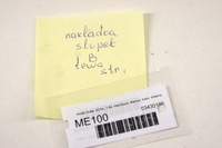 фото thumb №5, Me100 skoda scala защита стойка левая средняя