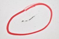 фото thumb №7, Дверь задние левая крыло белый renault trafic 2 ii 01-06