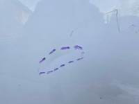 фото thumb №10, Двері правий перед праве передні audi q8 4m8