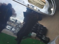 фото thumb №3, Капот mini f56 колір c3y