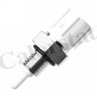 фото thumb №1, Датчик, температура воздуха впускной calorstat by vernet as0060