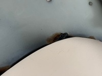 фото thumb №16, Toyota hilux vii 7 lift 11-15r крила правий передній правий перед