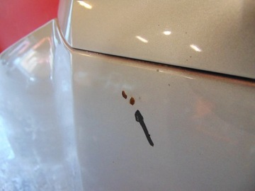 фото thumb №9, Skoda fabia i 6y капот крышка двигателя решётка радиатора серебряная