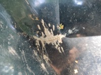 Купити Капот volvo 850 кришка двигуна, фото thumb