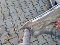 фото thumb №7, Hyundai ix35 10-15 бампер задняя задний парктроник