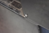 фото thumb №8, Кришка зад задня audi q7 4l 07r