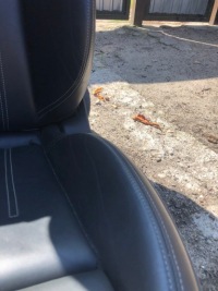 Audi a4 b9 универсал s-line сиденья кожа с подогревом обшивки подушка безопасности комплект Цена, фото thumb