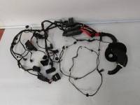 фото thumb №1, Mini clubman f54 электропроводка отсек двигателя лонжерон левый