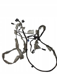 фото thumb №1, Жгут потолочный opel insignia a 13253621