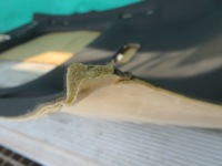 фото thumb №8, Стеля панорама mercedes w176 amg a klasa 17r