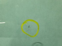 фото thumb №5, Стекло лобовое mercedes a167 w167 gle 19r подогрев