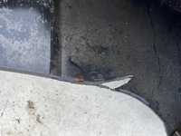 фото thumb №11, Бампер перед honda cr-v crv aero iii 06-09