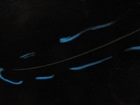 фото thumb №5, Ds3 crossback двері праве задні задня ktvd