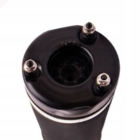 фото thumb №10, 2513203013 подушка пневмоподушка do mercedes w251 v251