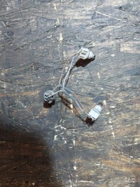 фото thumb №8, Вкладиш лампи лівий лівий задня задній skoda roomster 1j0973722