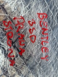 фото thumb №9, Решітка радіатора решітка радіатора решітка радіатора bentley continental gt 3 iii 3sd