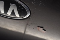 фото thumb №6, Крышка багажника багажника задняя задняя d5 kia ceed 2 ii 5d hb 12-15