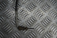 фото thumb №3, Датчик температури вихлопних газів renault 226401704r