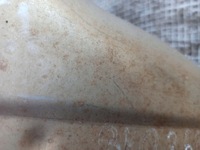 фото thumb №7, Audi s4 s5 4.2 v8 глушители выхлоп система комплект 08-