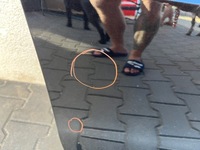 фото thumb №6, Дверь правое передние правый перед skoda octavia iv 4 5e3