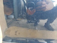 фото thumb №9, Дверь правый перед ford s-max mk1 lift g6