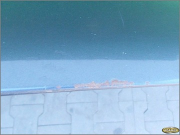 фото thumb №13, Seat ibiza ii 1.6 75km 1996r 3d - капот