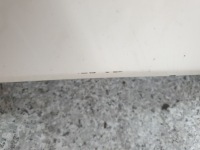 фото thumb №10, Бампер задний lancia ypsilon 04r задняя