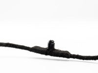 фото thumb №6, Передняя жгут pdc audi a5 16-