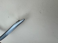 фото thumb №9, Toyota corolla e21 sedan 18r- молдинг бампера ліва перед 52126-02380