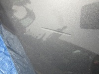 фото thumb №7, Ford mustang vi gt 2022 рестайлінг крило лівий перед