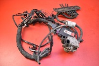 фото thumb №12, Комплектная электропроводка газовая 67r011006 brc sequent 24