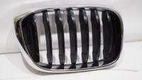 фото thumb №1, Решітка радіатора решітка радіатора решітка радіатора права bmw x3 g01 x4 g02 7440854