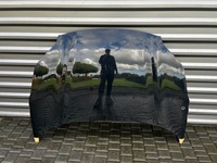 фото thumb №1, Капот крышка двигателя kia sportage 4 iv 2015-