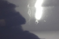 фото thumb №6, Капот крышка двигателя seat alhambra i lift la5g