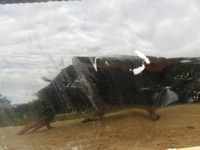 фото thumb №10, Nissan x-trail t30 2004- lift капот