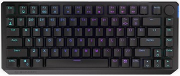 ENDORFY Thock 75% Беспроводная механическая клавиатура Black Box RGB EY5A074