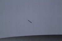 фото thumb №3, Капот renault clio iii lift 11r.