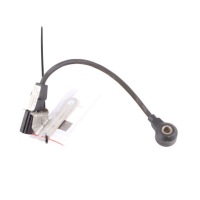 Audi a3 8p датчик детонационный spalania 022905377 Цена, фото thumb