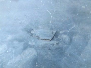 фото thumb №6, Vw passat b5 fl заглушка захист панелі подушка безпеки пасажира