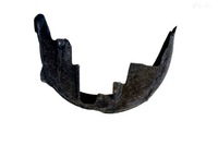 фото thumb №1, Оригинальный номер audi 8v0810172f подкрылок зад правые audi a3/rs3