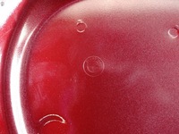 фото thumb №10, Bmw x3 g45 24- двері ліва задня