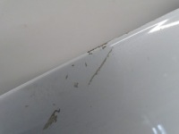 Капот крышка крышка багажника двигателя skoda superb 3 белый Киев, фото thumb