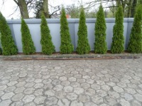 фото thumb №1, Eurocargo 91-02 рама балка bok рами 840 x 25cm