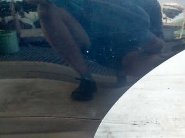 фото thumb №9, Nissan qashqai i j10 двері лівий зад ліві задні комплектні