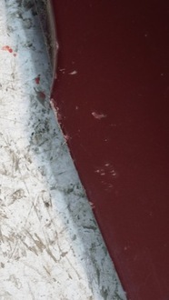 фото thumb №12, Кришка багажника скло багажника задня bmw x5 e53