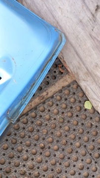 фото thumb №7, Citroen c3 i hb кришка зад kmy kmyd