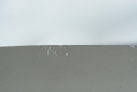 фото thumb №4, Chrysler town country v защита стойка перед левая