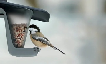 Кормушка для птиц - Birdyfeed двойная