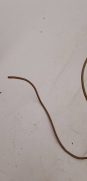 фото thumb №7, Volkswagen polo iii 6n 6n2 6nf 2001 вентилятор повітропровід / повітродувка