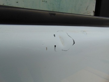 фото thumb №10, Дверь правый перед opel vivaro renault trafic рестайлинг